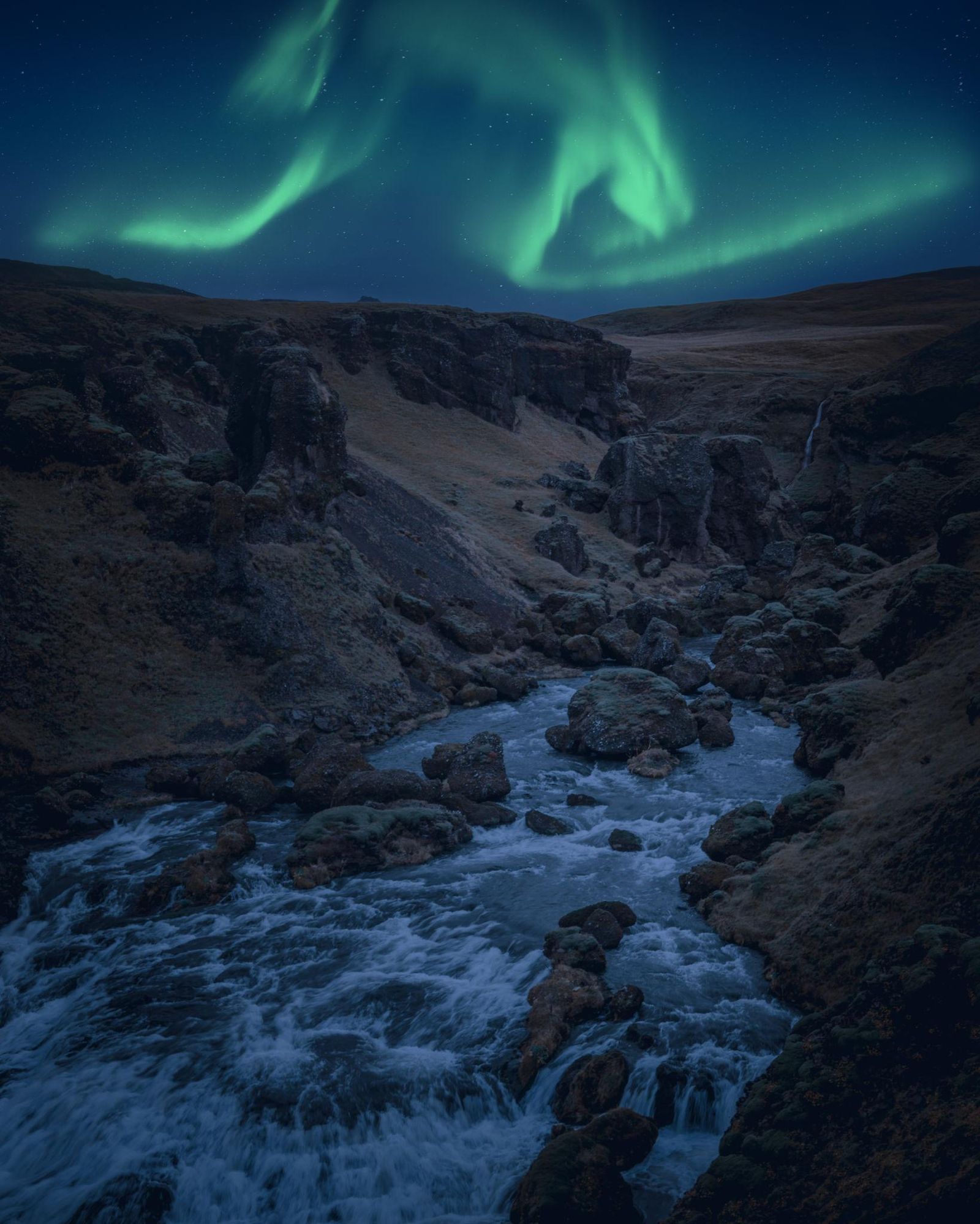 Northern Lights with Friends — a photo from one of our own departures