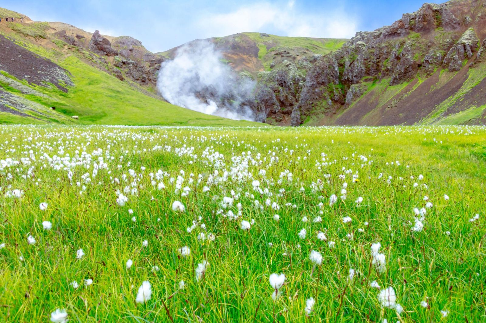 Reykjadalur — a photo from one of our own departures