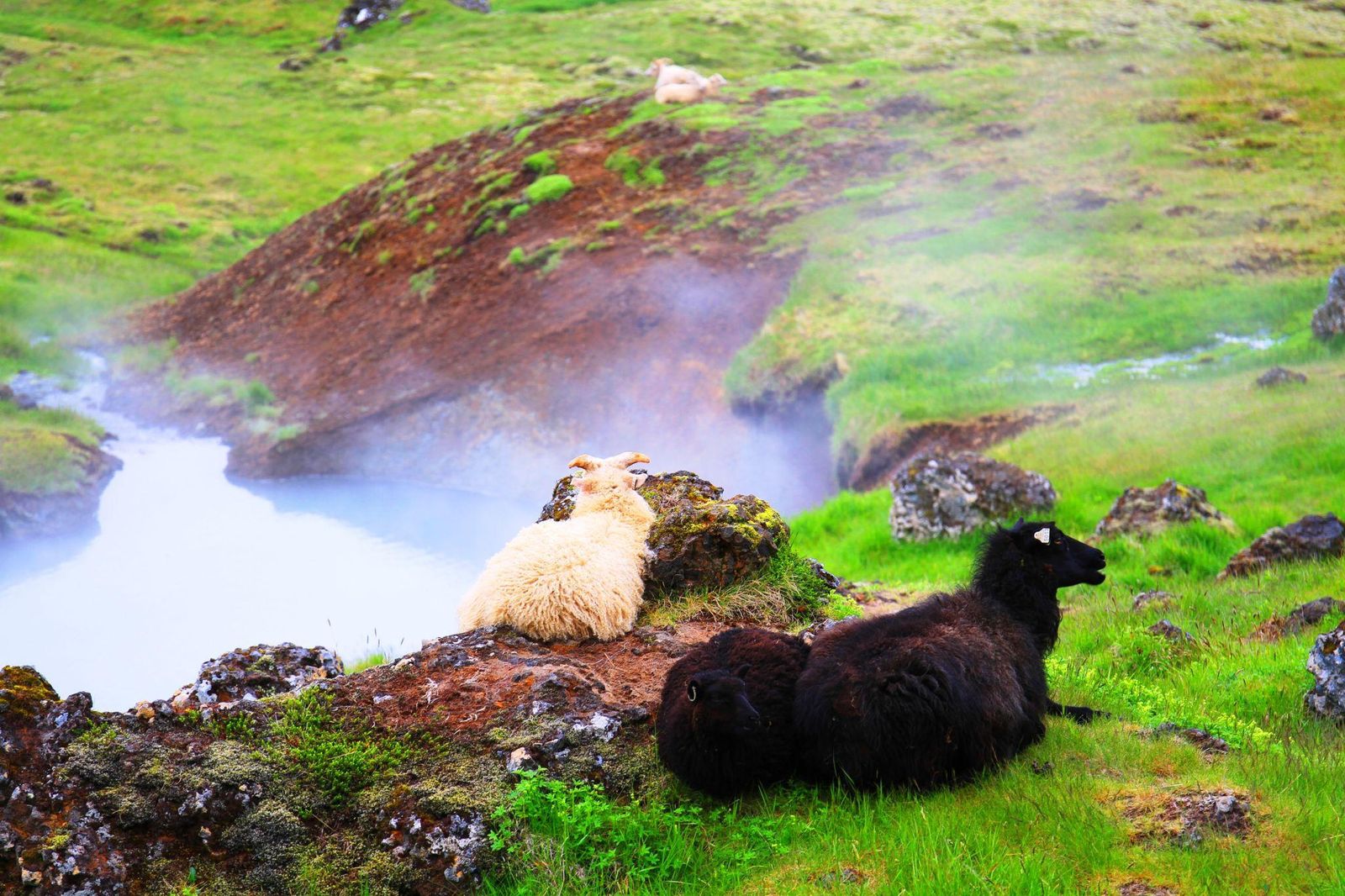 Reykjadalur — a photo from one of our own departures