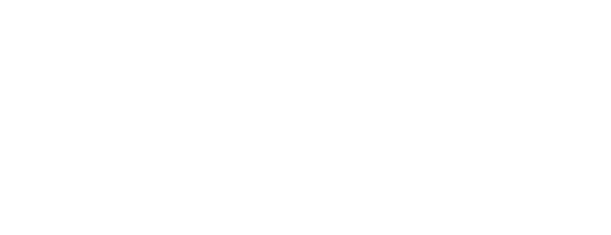 Amigos Iceland Tours